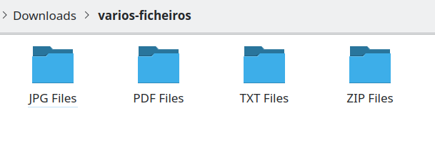 Pasta organizada com subpastas por tipo