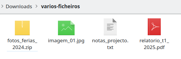 Pasta desorganizada com muitos arquivos