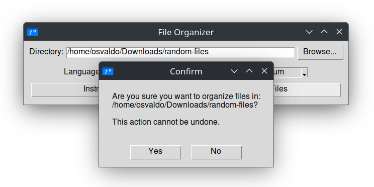 Confirmation prompt before organizing files
